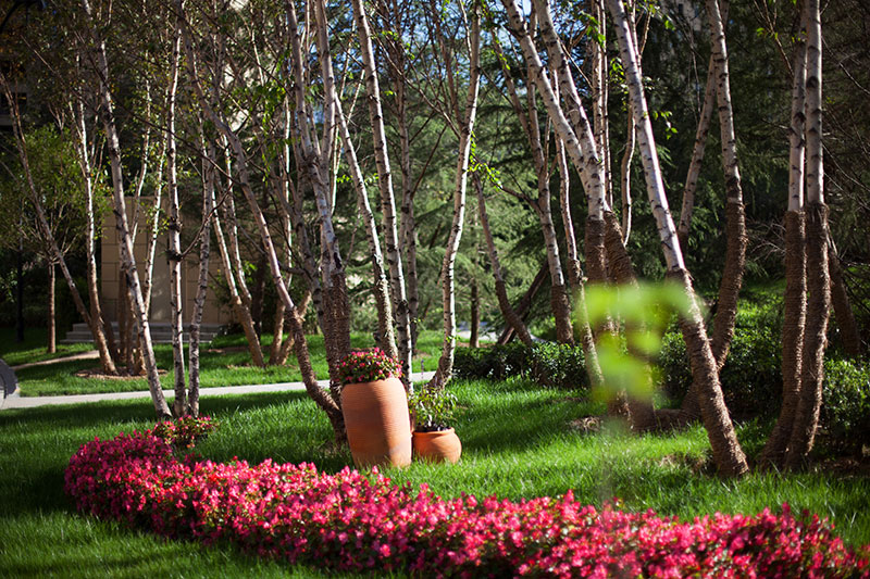 000000.jpg 000000.jpg