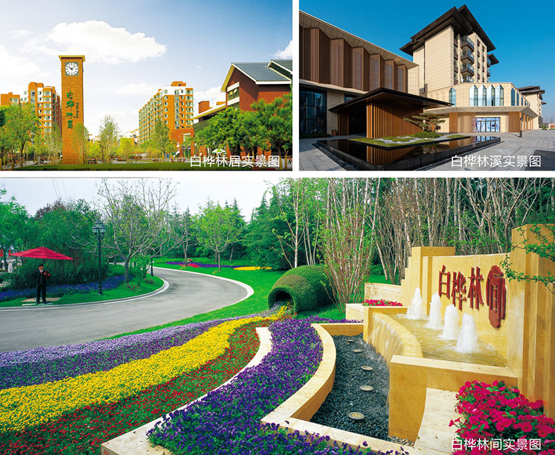 000000.jpg 000000.jpg