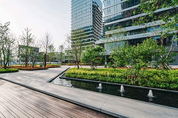 000000.jpg 000000.jpg