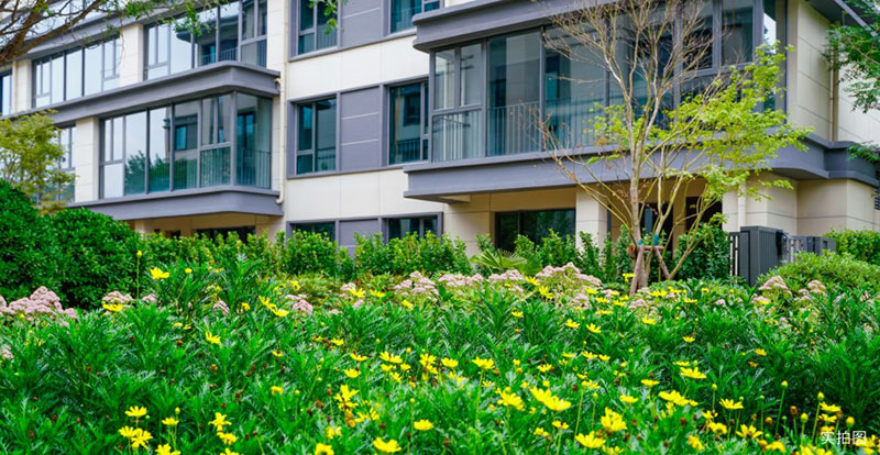 000000.jpg 000000.jpg