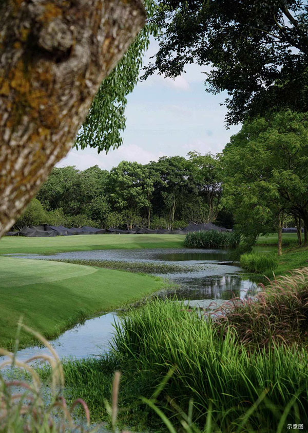 000000.jpg 000000.jpg