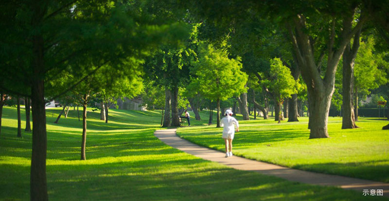 000000.jpg 000000.jpg