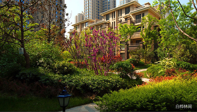 000000.jpg 000000.jpg