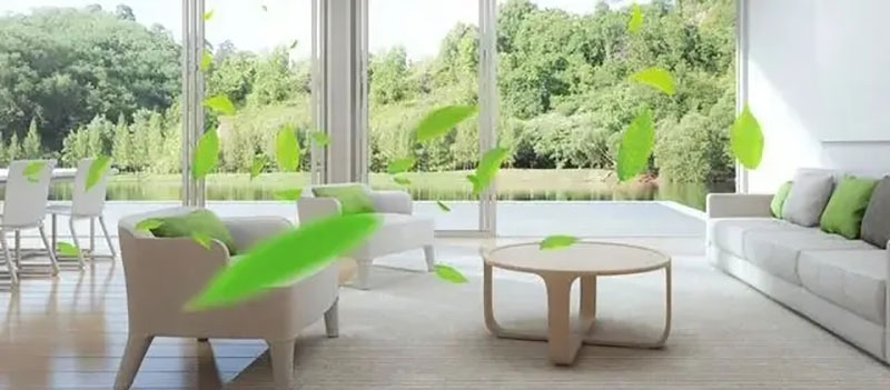 000000.jpg 000000.jpg