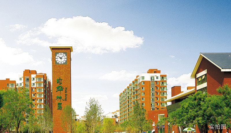 000000.jpg 000000.jpg