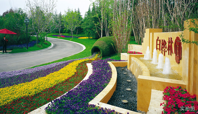 000000.jpg 000000.jpg