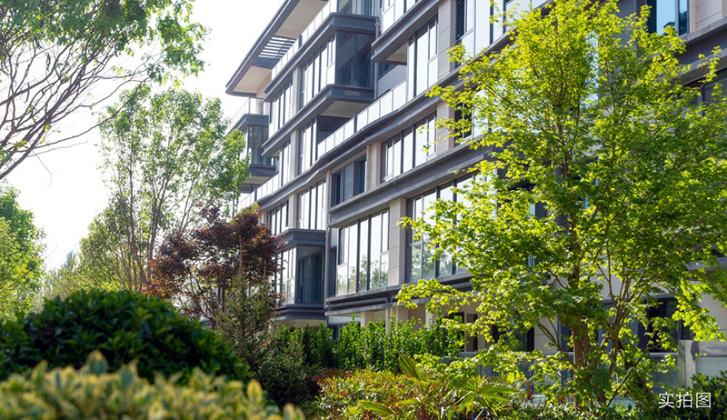 000000.jpg 000000.jpg