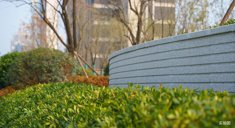 000000.jpg 000000.jpg