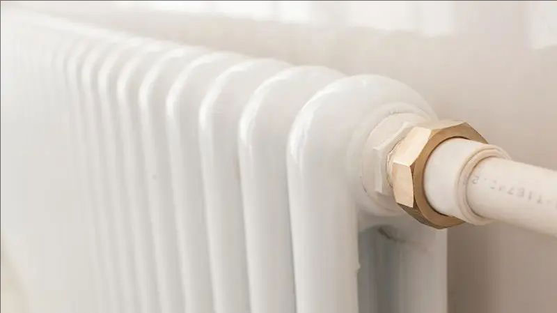 000000.jpg 000000.jpg