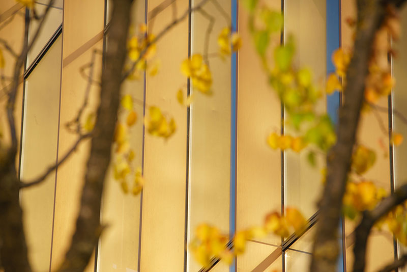 000000.jpg 000000.jpg