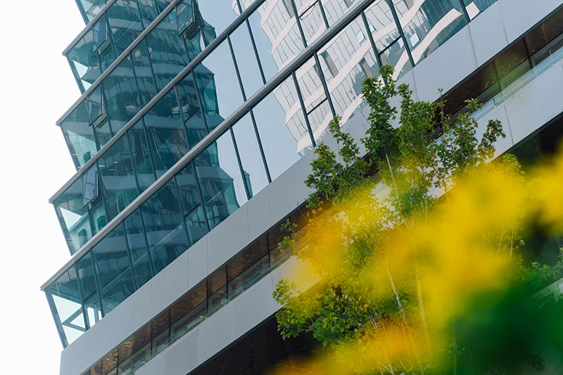 000000.jpg 000000.jpg